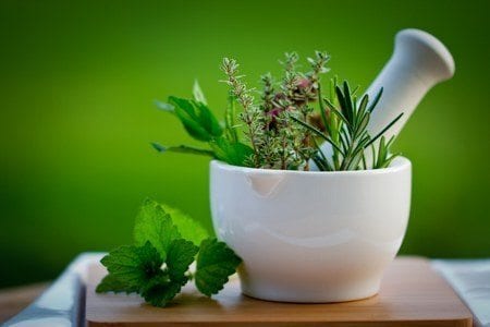 Evergreen Remedies